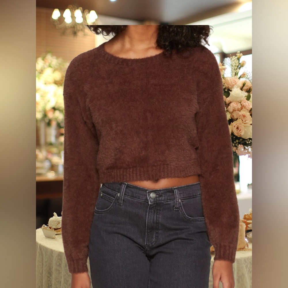 Hollister Women's Brown Crew Neck Sweater